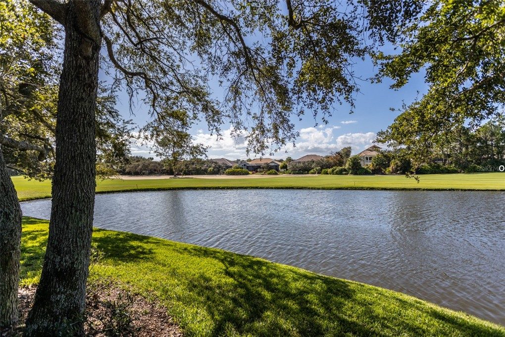 45 Kingfisher Ln 028